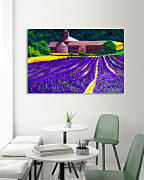 Obraz Maľované levanduľové pole , lavender field